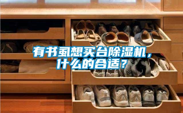 有書虱想買臺除濕機，什么的合適？