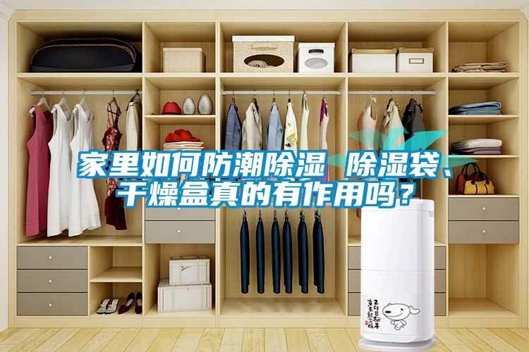 家里如何防潮除濕 除濕袋、干燥盒真的有作用嗎？
