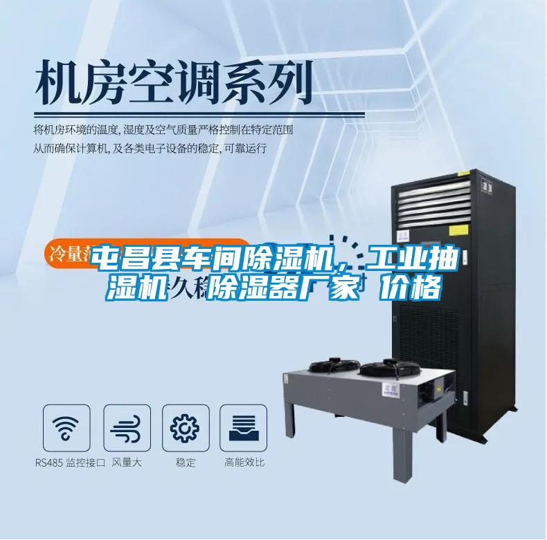屯昌縣車間除濕機(jī)，工業(yè)抽濕機(jī)  除濕器廠家 價(jià)格