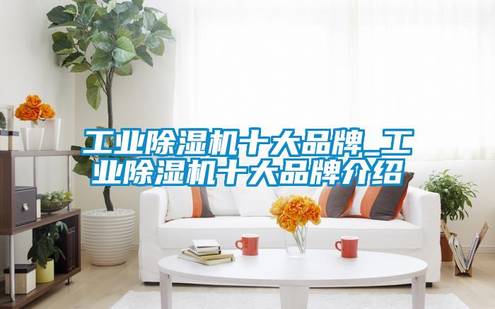 工業(yè)除濕機十大品牌_工業(yè)除濕機十大品牌介紹