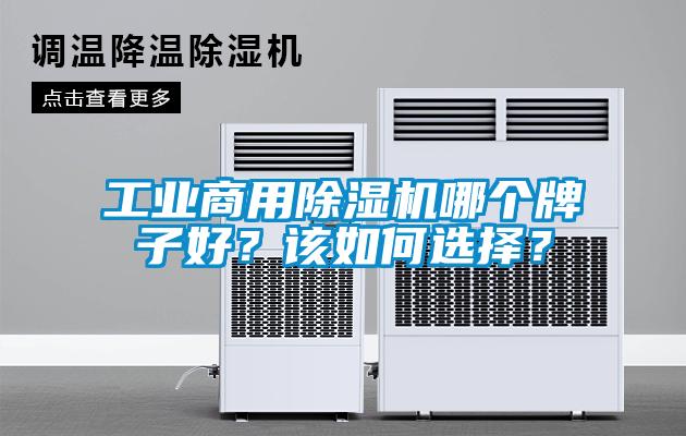 工業(yè)商用除濕機哪個牌子好？該如何選擇？