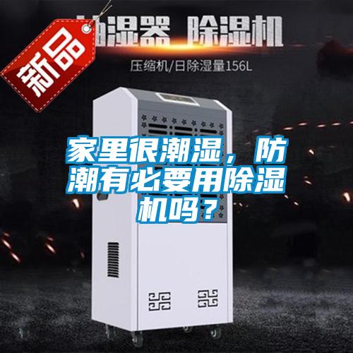 家里很潮濕，防潮有必要用除濕機嗎？