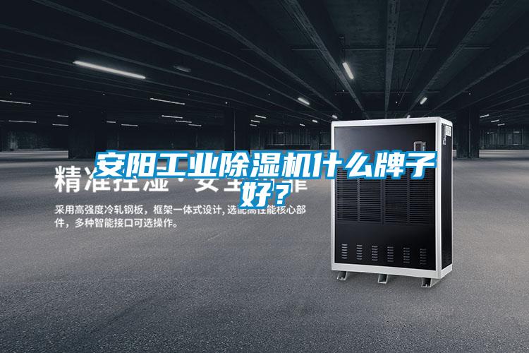 安陽工業(yè)除濕機(jī)什么牌子好？