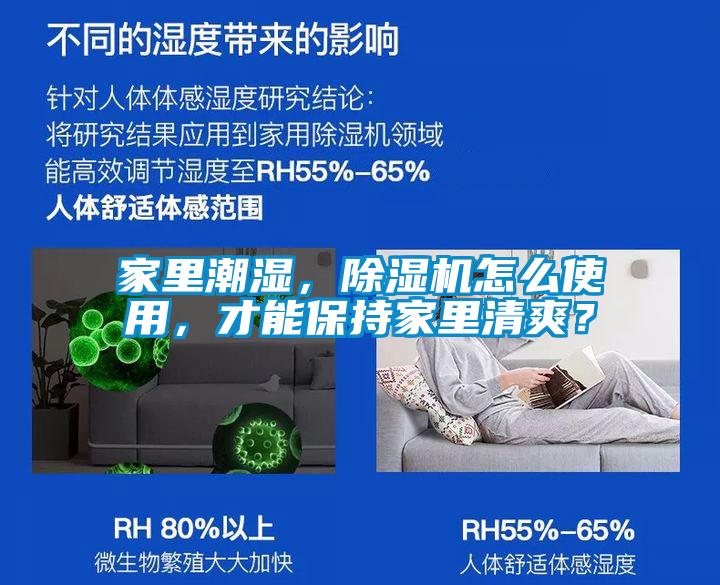 家里潮濕，除濕機怎么使用，才能保持家里清爽？