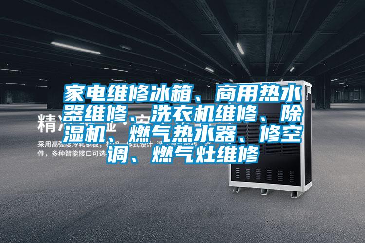 家電維修冰箱、商用熱水器維修、洗衣機(jī)維修、除濕機(jī)、燃?xì)鉄崴?、修空調(diào)、燃?xì)庠罹S修