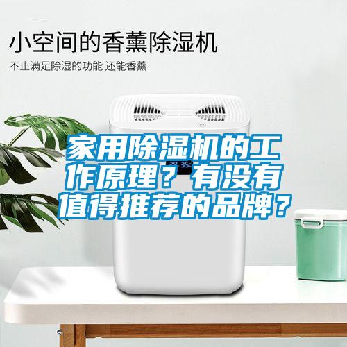 家用除濕機的工作原理？有沒有值得推薦的品牌？