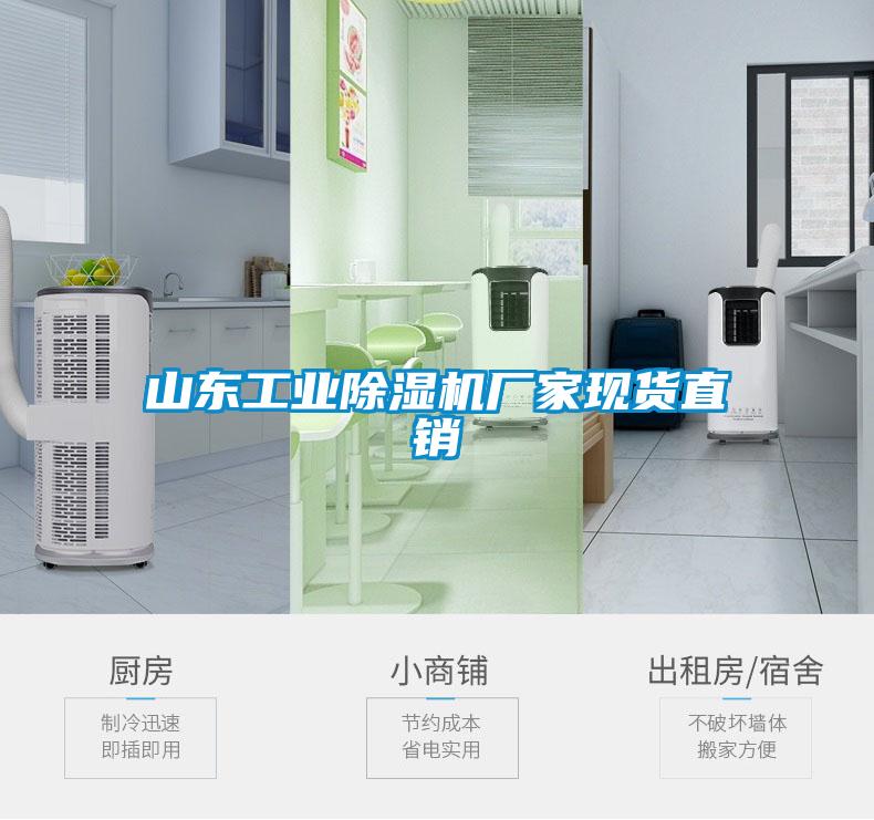 山東工業(yè)除濕機(jī)廠家現(xiàn)貨直銷(xiāo)