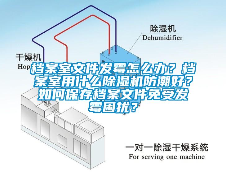 檔案室文件發(fā)霉怎么辦？檔案室用什么除濕機(jī)防潮好？如何保存檔案文件免受發(fā)霉困擾？