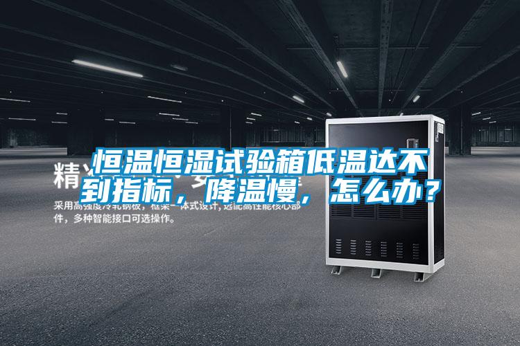 恒溫恒濕試驗箱低溫達不到指標(biāo)，降溫慢，怎么辦？