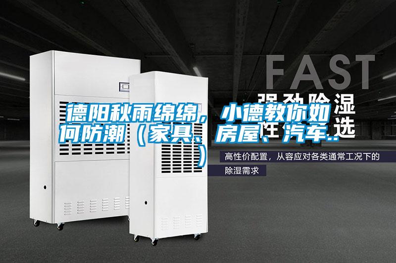 德陽秋雨綿綿，小德教你如何防潮（家具、房屋、汽車..）