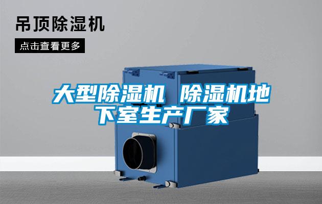 大型除濕機 除濕機地下室生產(chǎn)廠家
