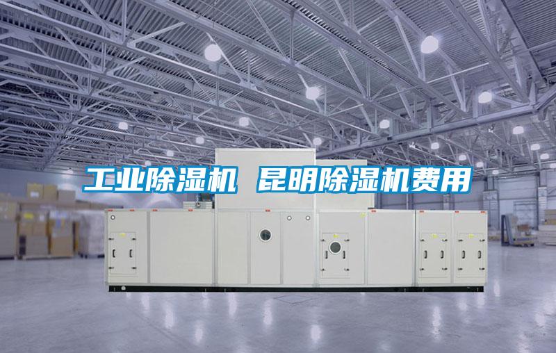 工業(yè)除濕機(jī) 昆明除濕機(jī)費用