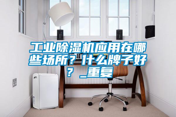 工業(yè)除濕機(jī)應(yīng)用在哪些場所？什么牌子好？_重復(fù)