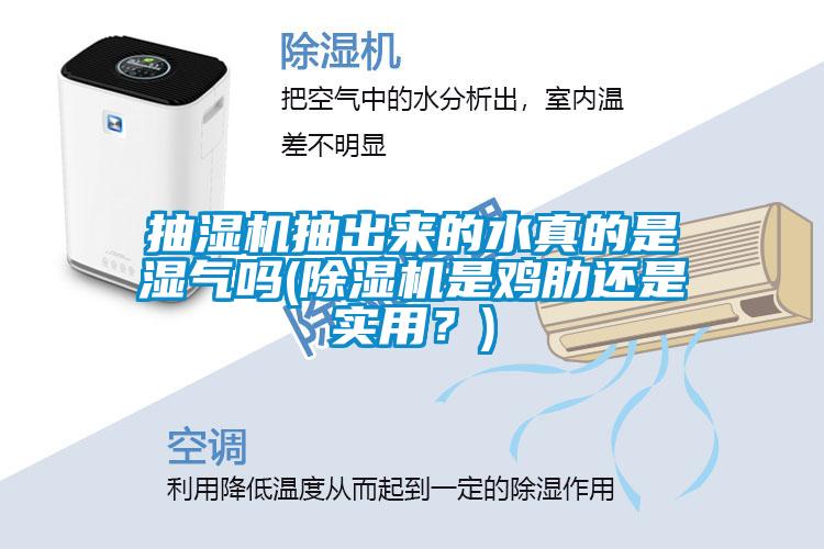 抽濕機抽出來的水真的是濕氣嗎(除濕機是雞肋還是實用？)