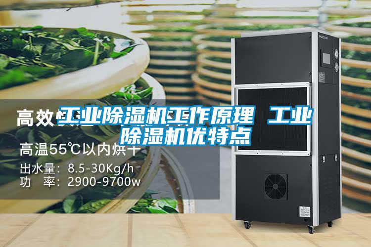 工業(yè)除濕機(jī)工作原理 工業(yè)除濕機(jī)優(yōu)特點