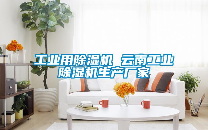 工業(yè)用除濕機 云南工業(yè)除濕機生產(chǎn)廠家