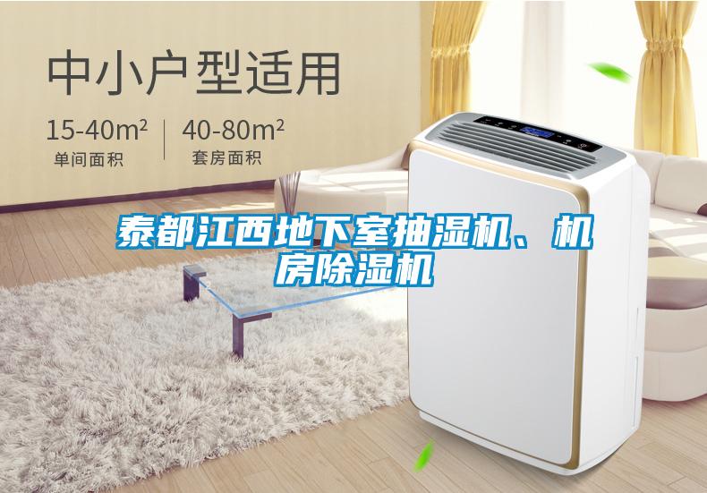 泰都江西地下室抽濕機(jī)、機(jī)房除濕機(jī)