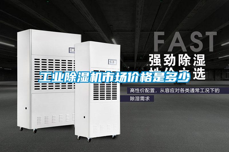 工業(yè)除濕機(jī)市場價格是多少