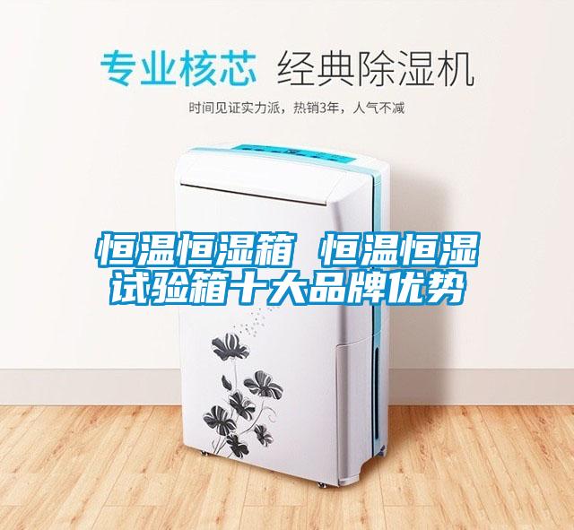 恒溫恒濕箱 恒溫恒濕試驗箱十大品牌優(yōu)勢