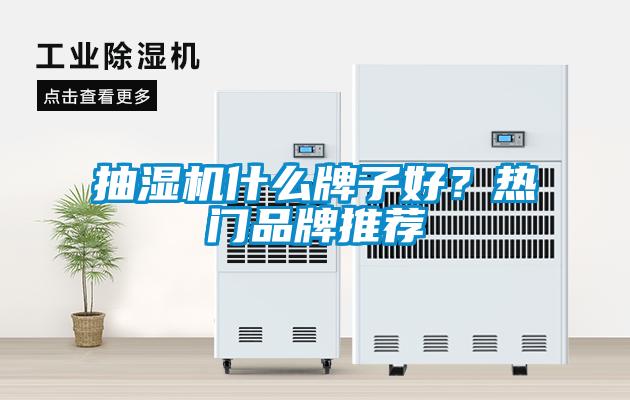 抽濕機(jī)什么牌子好？熱門品牌推薦