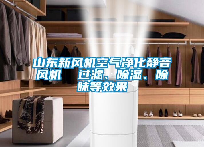 山東新風(fēng)機(jī)空氣凈化靜音風(fēng)機(jī)  過(guò)濾、除濕、除味等效果