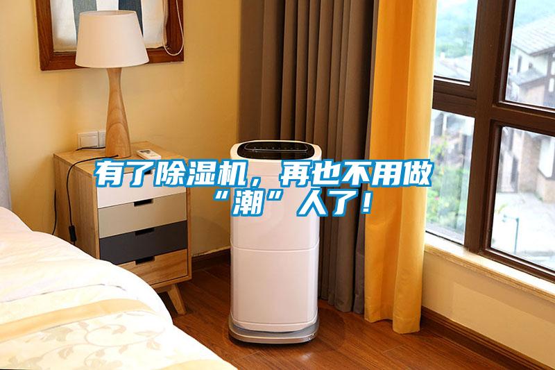 有了除濕機，再也不用做“潮”人了！