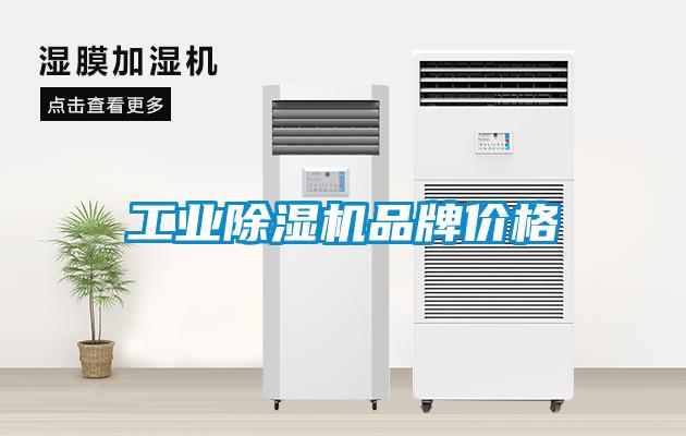 工業(yè)除濕機(jī)品牌價格