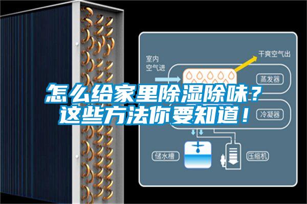 怎么給家里除濕除味？這些方法你要知道！