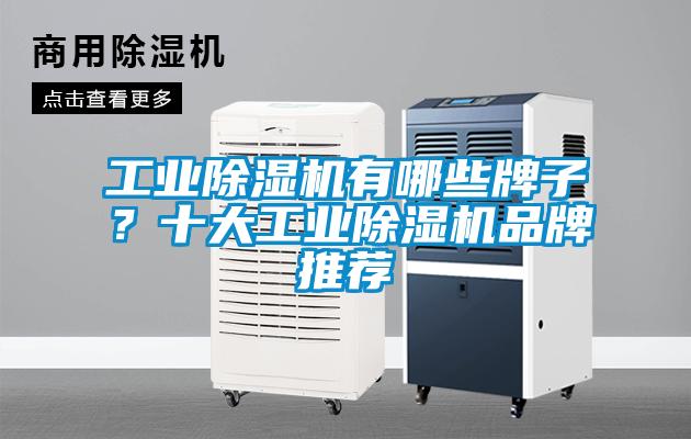 工業(yè)除濕機有哪些牌子？十大工業(yè)除濕機品牌推薦