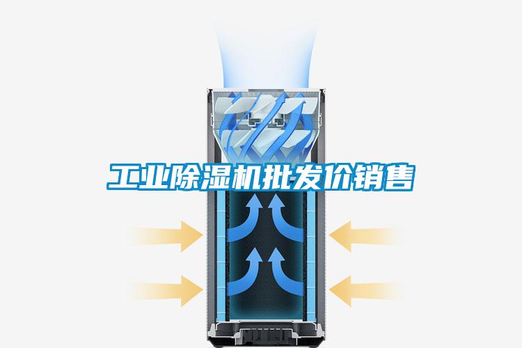 工業(yè)除濕機(jī)批發(fā)價(jià)銷(xiāo)售