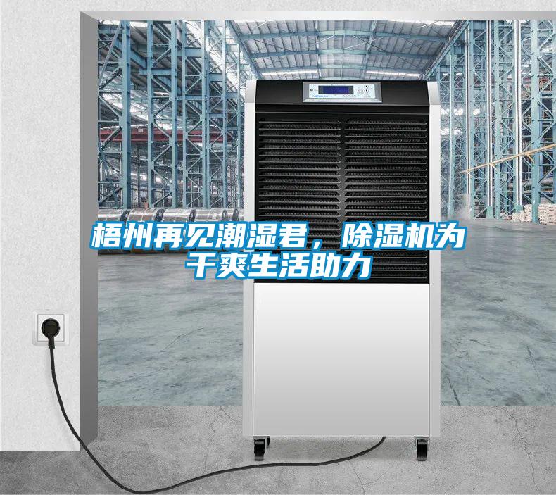 梧州再見潮濕君，除濕機(jī)為干爽生活助力