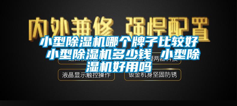 小型除濕機(jī)哪個牌子比較好 小型除濕機(jī)多少錢 小型除濕機(jī)好用嗎