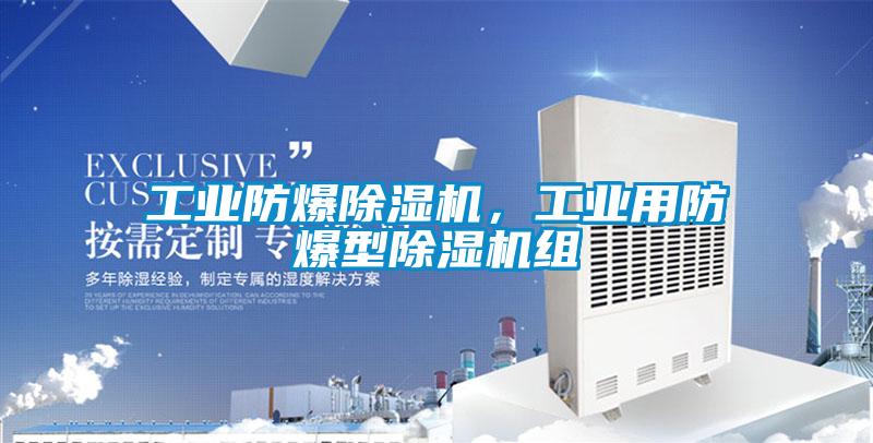 工業(yè)防爆除濕機(jī)，工業(yè)用防爆型除濕機(jī)組