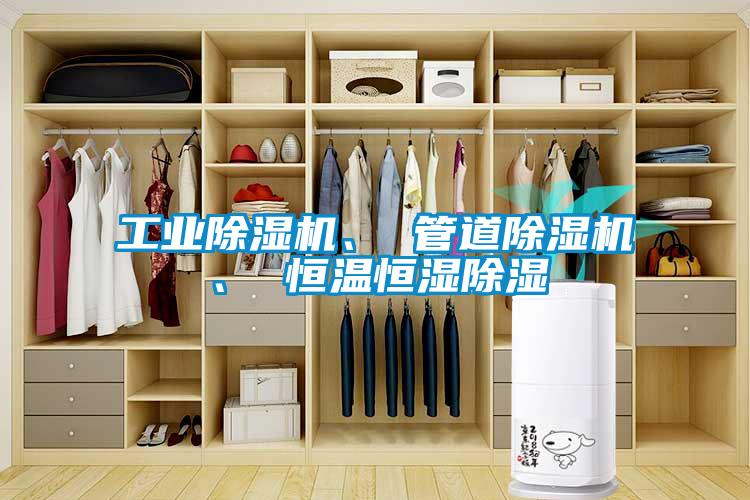 工業(yè)除濕機(jī)、 管道除濕機(jī)、 恒溫恒濕除濕