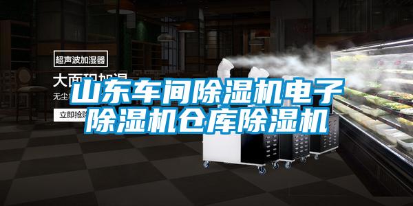 山東車(chē)間除濕機(jī)電子除濕機(jī)倉(cāng)庫(kù)除濕機(jī)