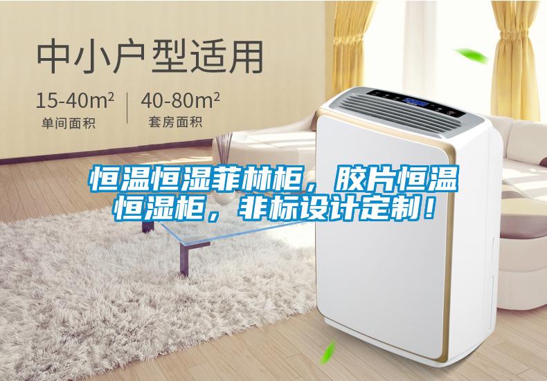 恒溫恒濕菲林柜，膠片恒溫恒濕柜，非標(biāo)設(shè)計定制！