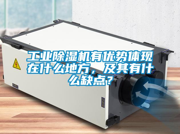 工業(yè)除濕機(jī)有優(yōu)勢體現(xiàn)在什么地方，及其有什么缺點？