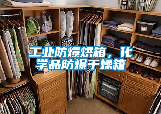 工業(yè)防爆烘箱，化學(xué)品防爆干燥箱