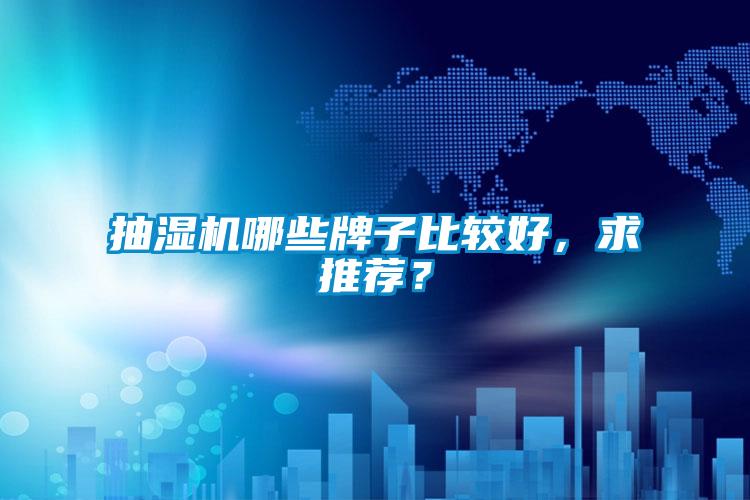 抽濕機哪些牌子比較好，求推薦？