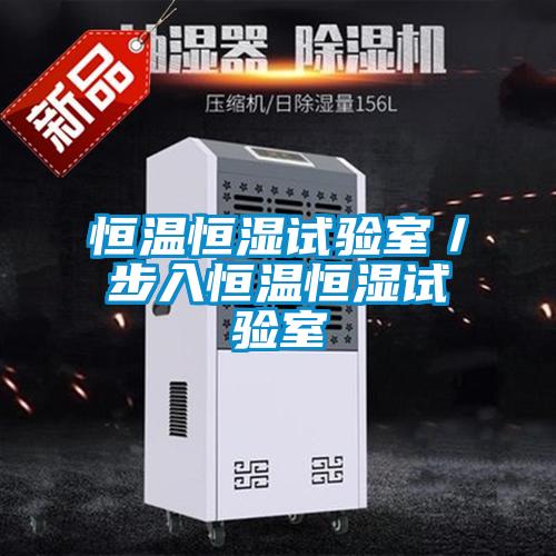 恒溫恒濕試驗室／步入恒溫恒濕試驗室