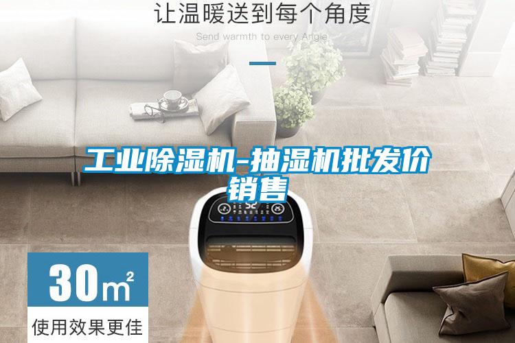 工業(yè)除濕機(jī)-抽濕機(jī)批發(fā)價(jià)銷(xiāo)售