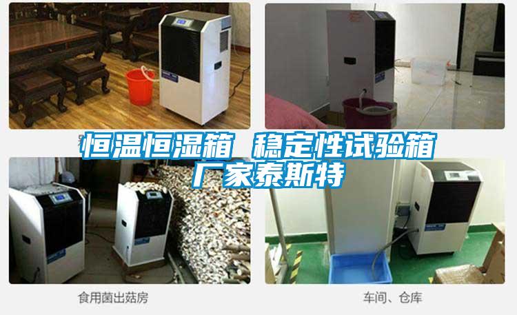 恒溫恒濕箱 穩(wěn)定性試驗箱 廠家泰斯特