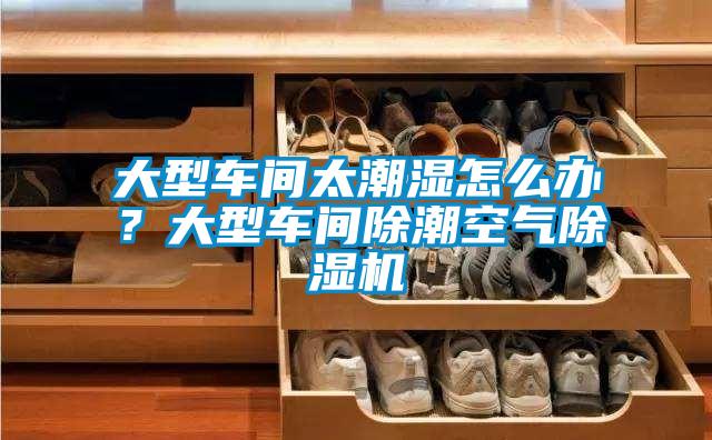 大型車間太潮濕怎么辦？大型車間除潮空氣除濕機