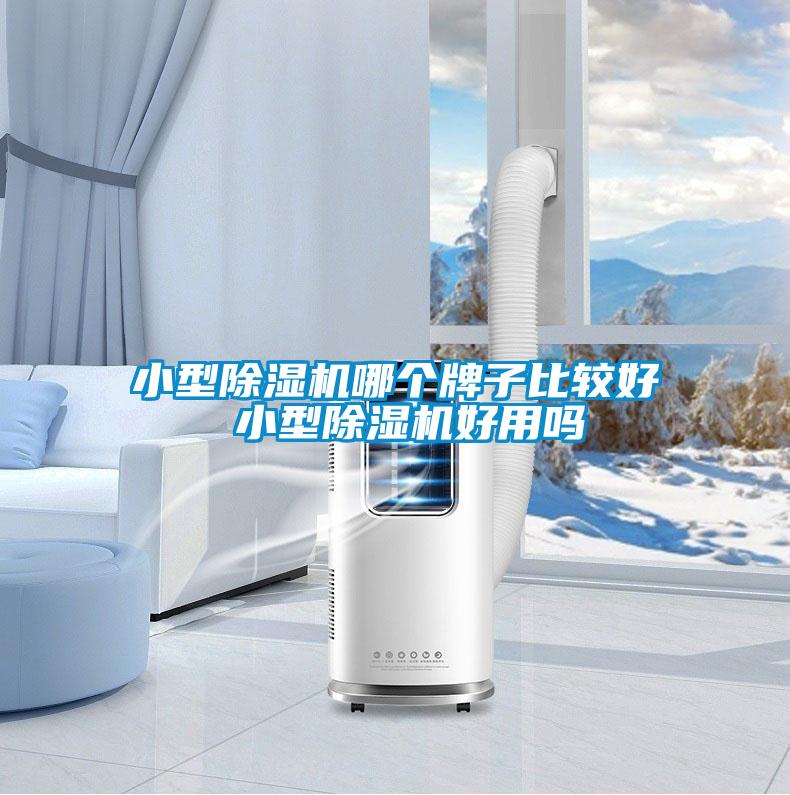 小型除濕機(jī)哪個牌子比較好 小型除濕機(jī)好用嗎