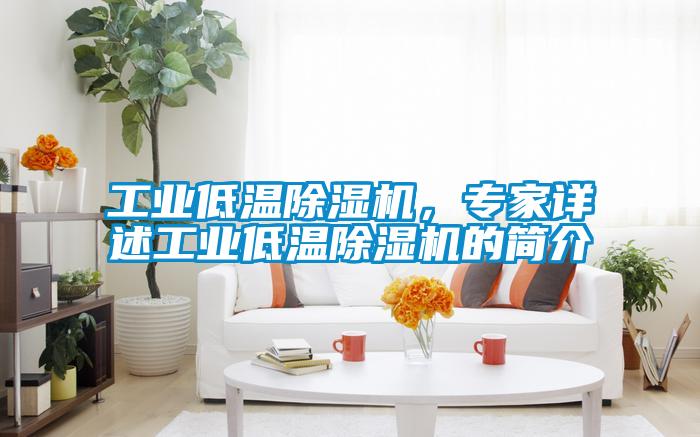 工業(yè)低溫除濕機(jī)，專家詳述工業(yè)低溫除濕機(jī)的簡(jiǎn)介