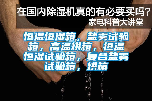 恒溫恒濕箱，鹽霧試驗(yàn)箱，高溫烘箱，恒溫恒濕試驗(yàn)箱，復(fù)合鹽霧試驗(yàn)箱，烘箱