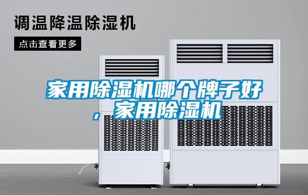 家用除濕機(jī)哪個(gè)牌子好，家用除濕機(jī)