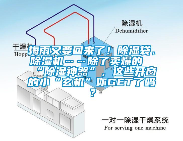 梅雨又要回來了！除濕袋、除濕機……除了賣爆的“除濕神器”，這些開窗的小“玄機”你GET了嗎？