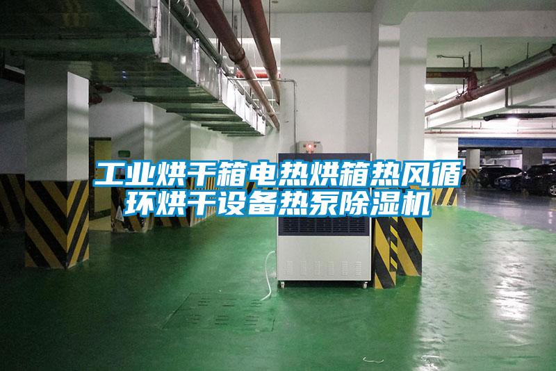 工業(yè)烘干箱電熱烘箱熱風循環(huán)烘干設備熱泵除濕機