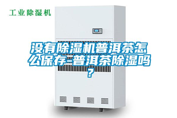 沒有除濕機普洱茶怎么保存-普洱茶除濕嗎？
